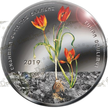 Αγορά νομισμάτων Πώληση νομισμάτων Αξιολόγηση νομισμάτων Χρυσά νομίσματα Ασημένια νομίσματα Συλλεκτικά νομίσματα Παγκόσμια νομίσματα Ελληνικά νομίσματα Νομίσματα Euro Αγορά χρυσού Πώληση χρυσού Αγορά ασημιού Πώληση ασημιού Επενδύσεις σε νομίσματα Επενδύσεις σε χρυσό και ασήμι Κατάλογος νομισμάτων Συλλογή νομισμάτων Αξεσουάρ για νομίσματα Συλλεκτικά χαρτονομίσματα Ανταλλαγή νομισμάτων eurodrachma.gr, 5-ευρώ_Ελλάδα 5 ευρώ 2019 Ενδημικά Φυτά Τουλίπα blister_(1), Αγορά νομισμάτων, Πώληση νομισμάτων, Αξιολόγηση νομισμάτων, Χρυσά νομίσματα, Ασημένια νομίσματα, Συλλεκτικά νομίσματα, Παγκόσμια νομίσματα, Ελληνικά νομίσματα, Νομίσματα Euro, Αγορά χρυσού, Πώληση χρυσού, Αγορά ασημιού, Πώληση ασημιού, Επενδύσεις σε νομίσματα, Επενδύσεις σε χρυσό και ασήμι, Κατάλογος νομισμάτων, Συλλογή νομισμάτων, Αξεσουάρ για νομίσματα, Συλλεκτικά χαρτονομίσματα, Ανταλλαγή νομισμάτων, eurodrachma.gr