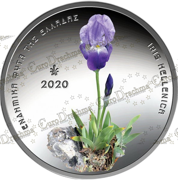 Αγορά νομισμάτων Πώληση νομισμάτων Αξιολόγηση νομισμάτων Χρυσά νομίσματα Ασημένια νομίσματα Συλλεκτικά νομίσματα Παγκόσμια νομίσματα Ελληνικά νομίσματα Νομίσματα Euro Αγορά χρυσού Πώληση χρυσού Αγορά ασημιού Πώληση ασημιού Επενδύσεις σε νομίσματα Επενδύσεις σε χρυσό και ασήμι Κατάλογος νομισμάτων Συλλογή νομισμάτων Αξεσουάρ για νομίσματα Συλλεκτικά χαρτονομίσματα Ανταλλαγή νομισμάτων eurodrachma.gr, 5-ευρώ_Ελλάδα 5 ευρώ 2020 Ενδημικά Φυτά Ίρις blister _(1), Αγορά νομισμάτων, Πώληση νομισμάτων, Αξιολόγηση νομισμάτων, Χρυσά νομίσματα, Ασημένια νομίσματα, Συλλεκτικά νομίσματα, Παγκόσμια νομίσματα, Ελληνικά νομίσματα, Νομίσματα Euro, Αγορά χρυσού, Πώληση χρυσού, Αγορά ασημιού, Πώληση ασημιού, Επενδύσεις σε νομίσματα, Επενδύσεις σε χρυσό και ασήμι, Κατάλογος νομισμάτων, Συλλογή νομισμάτων, Αξεσουάρ για νομίσματα, Συλλεκτικά χαρτονομίσματα, Ανταλλαγή νομισμάτων, eurodrachma.gr